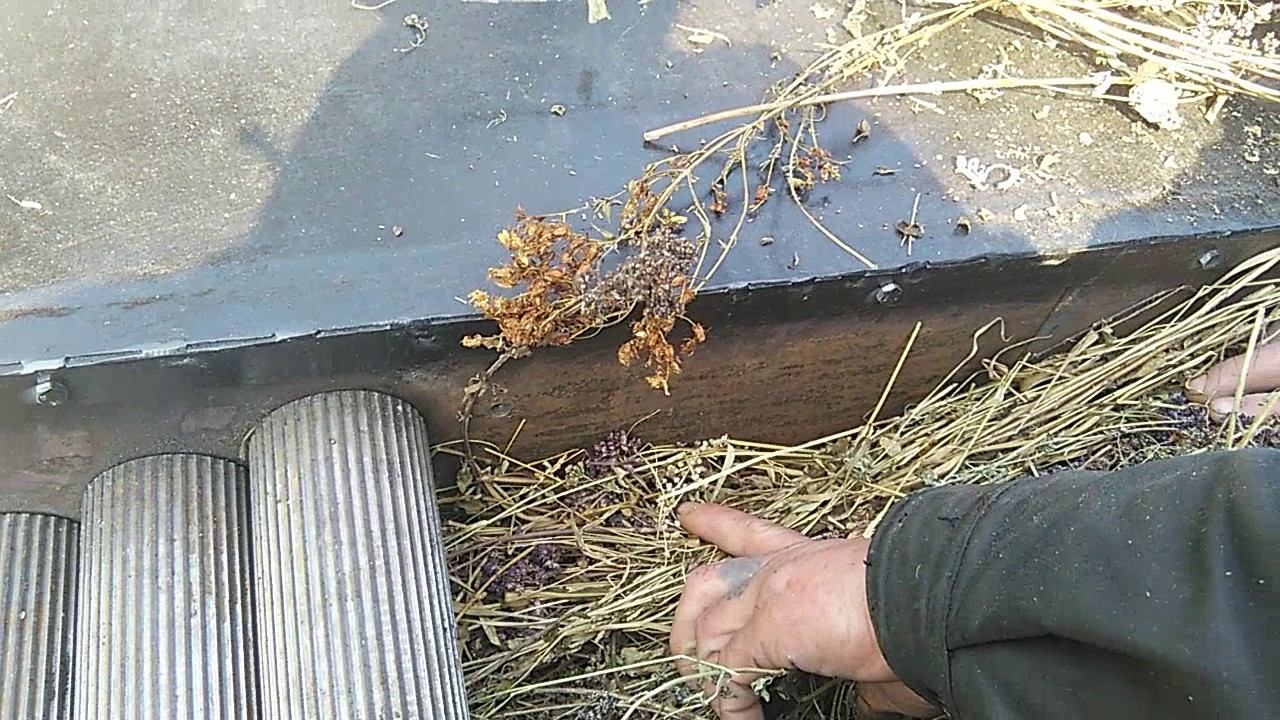 траворезка ,трава измельчитель - YouTube