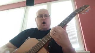 Znouzectnost - C´est la vie (acoustic cover)