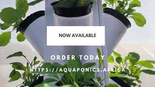 Ichthys Aquaponics - New Vertical Farming Solution