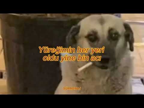 Yurtsever Kardeşler Kanka Sözleri