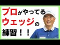 【中井学ゴルフ】プロがやっているウェッジの練習法【切り抜き】