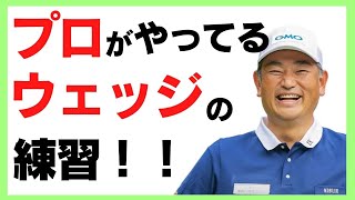 【中井学ゴルフ】プロがやっているウェッジの練習法【切り抜き】