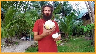 DELICIOUS SPROUTED COCONUT