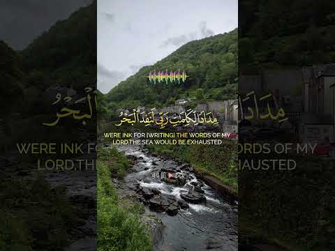 Post by  Saleh Khana Vlogs