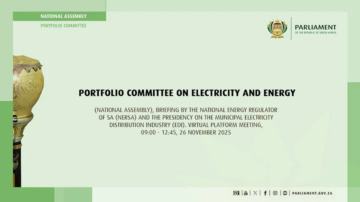 Portfolio Committee on Electricity and Energy, 26 November 2025