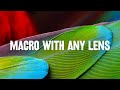 Get SHARP MACRO with ANY LENS