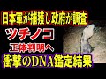 【ゆっくり解説】日本軍が捕獲し政府系企業が飼育したツチノコ がいた！DNA調査で正体判明へ！ツチノコ はやっぱり実在するのか【UMA実在説】】