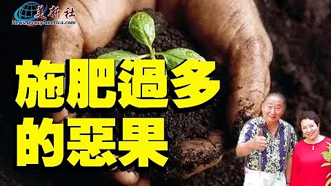 施肥過多的惡果！施肥太多怎麼辦？ - 天天要聞