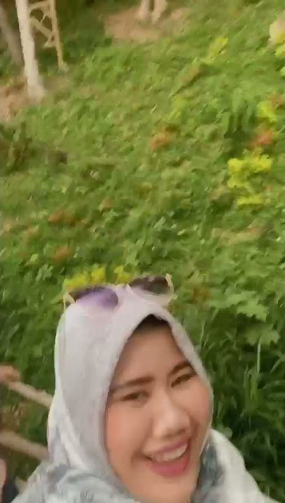 busuk hawo nyo