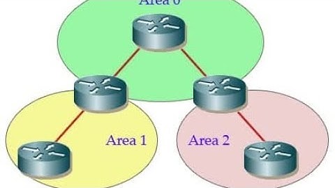 Basics of OSPF (Open Shortest Path First) in Networking | CCNA