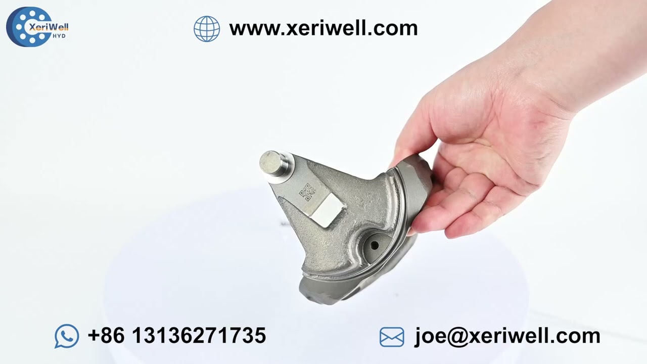 REXROTH A4VG125 Hydraulic Pump Spare Parts Swash Plate｜oil seal replacement｜