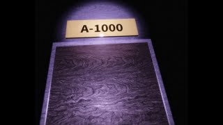 I FINALLY GOT TO A-1000 IN ROOMS & DOORS!!!