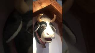 Wholey’s Talking Cow screenshot 4