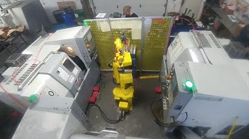 Fanuc M6 tending 3 Haas CNC Lathes