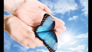 Butterfly Release Event