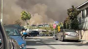 QAUTOHeadlineNR-VO Nov 26 15:40:59 UTC 2025 Auto-Bilbies move home to protect populations in Austral