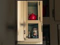 Morden kitchen design | kitchen design for small appertment #kitchen #kitchenappliances