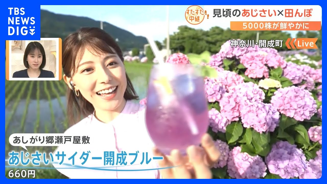 あじさいサイダーにメンチカツ、お茶の葉天ぷらも登場！田んぼとの絶景