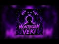 Montagem Veki