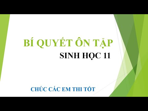 Video BÍ QUYẾT ÔN TẬP LÝ THUYẾT SINH HỌC - SINH HỌC 11 -... - YouTube
