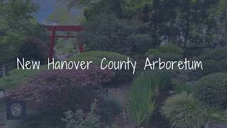 New Hanover County Arboretum - Wilmington, NC