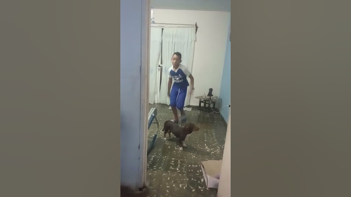 Seré más rápido que Sonic