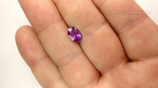 Sapphire Pink 13 453 Vd