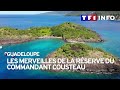 Guadeloupe  les merveilles de la rserve du commandant cousteau