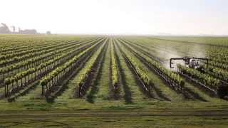 Faces of the California Delta