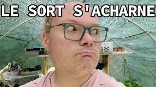 Vlog: Une journée Rocambolesque !