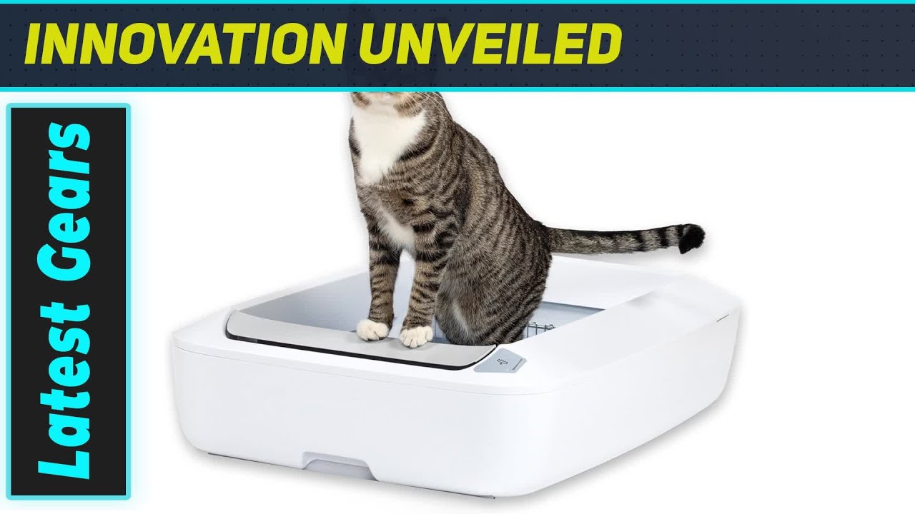 PetSafe ScoopFree: Больше не нужно убирать кошачий туалет! Идеальное решение для кошачьего туалета?