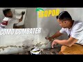 💡 Veja que ideia brilhante: usei isopor e dei fim à parede úmida