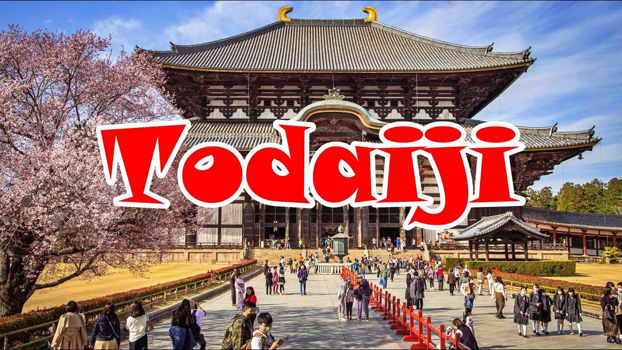 Visiting The Great Bronze Buddha, Todai-ji - Buddha din Bronz - Nara, Japan ep 8 - travel calatorie
