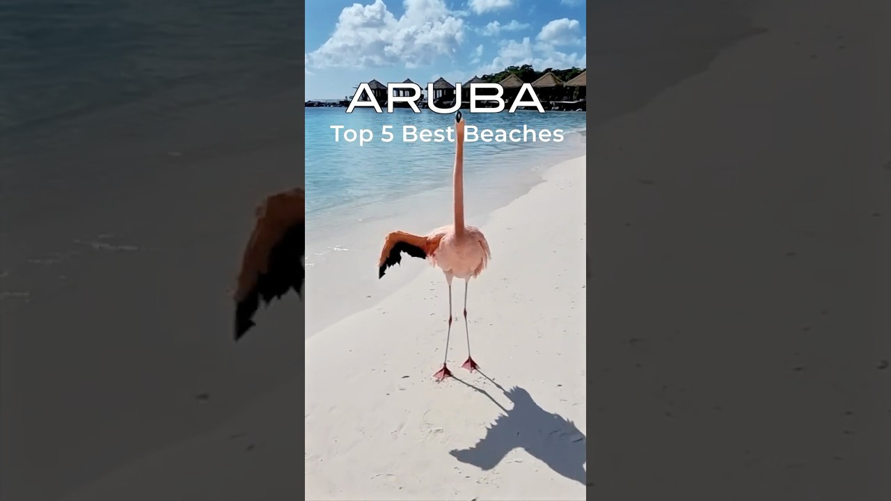 Top 5 Best Beaches of Aruba | Aruba Travel Guide Video 4K