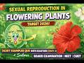 Sexual Reproduction in Flowering Plants | NCERT exampler Important Questions | Boards | NEET | CUET