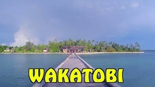Download Lagu Wakatobi - Diving in Indonesia / Tauchen in Indonesien MP3