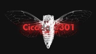 Cicada 3301 PUZZEL-1 walkthrough (Part-1)