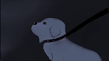 Abandonment - Animatic