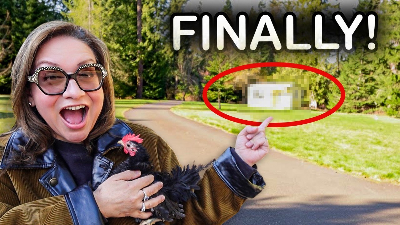 Это наконец-то случилось! Мой прекрасный НОВЫЙ офис здесь! 🥹