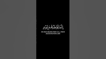 سورة ابراهيم _ الاية 45 _ تلاوة رائعة _ ❤️📖🤲