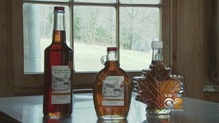 Local Maple Syrup Businesses Hit Hard By Mild Winter