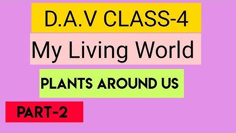 DAV CLASS 4 SCIENCE CHAPTER 4 PLANTS AROUND US||EXPLAINED IN HINDI ||ADARSH 999