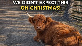 Download Lagu This Wasn’t How We Expected To Spend Christmas!  MP3