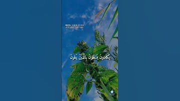 حالات واتس اب دينية | ماجد الزامل﴿ وَإِذا تُتلى عَلَيهِم آياتُنا بَيِّناتٍ تَعرِفُ في وُجوهِ الَّذين