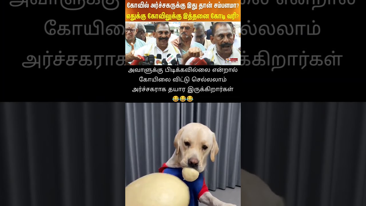     dog  funnydog  tamil  entertainment  funnypet  facts