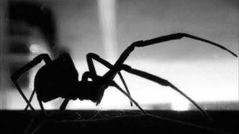 The Intangible-"Chiaroscuro"