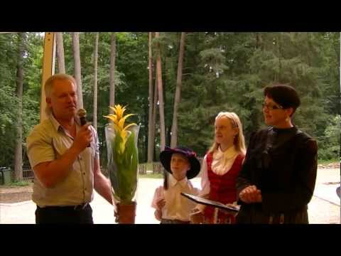 Padėkos ir sveikinimai 2012 HD