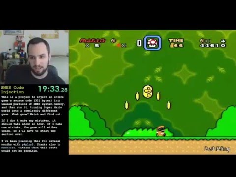 SNES Code Injection Flappy Bird in SMW