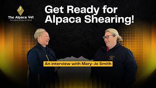 Get Ready for Shearing