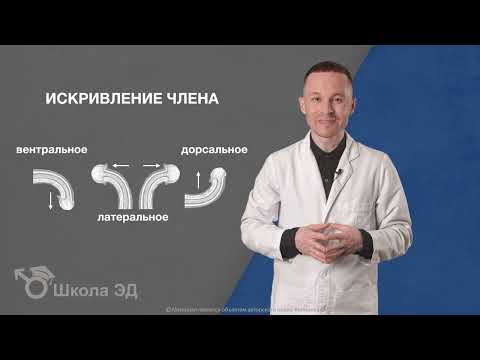 В каком возрасте пенис перестает эрекировать?